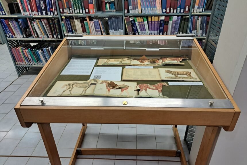 Biblioteca Ercolani di Bologna-Esposizione Esposizione volumi del Fondo Antico della Biblioteca Veterinaria Ercolani di Bologna
